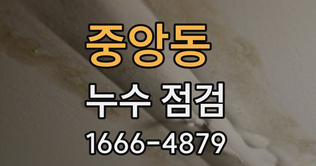 중앙동 누수 점검