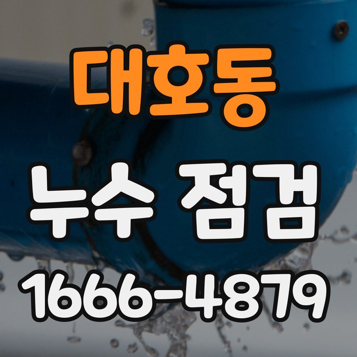 대호동 누수 점검