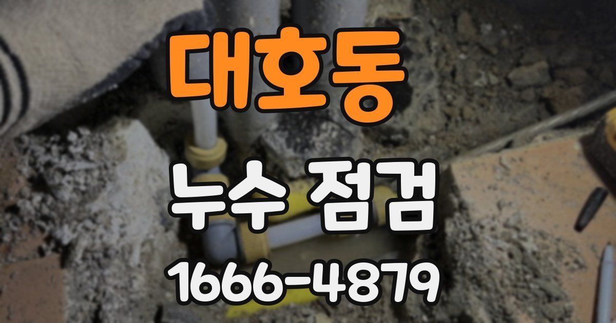 대호동 누수 점검