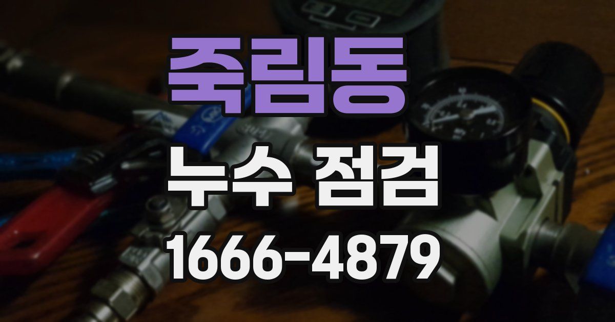 죽림동 누수 점검