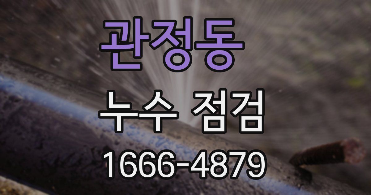 관정동 누수 점검