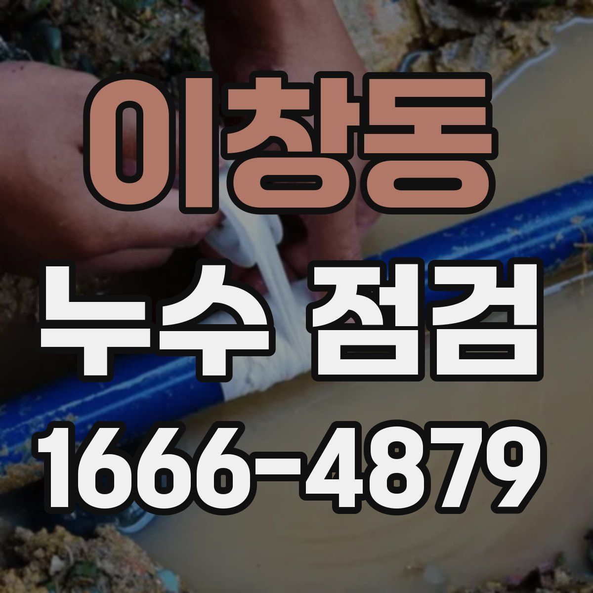 이창동 누수 점검