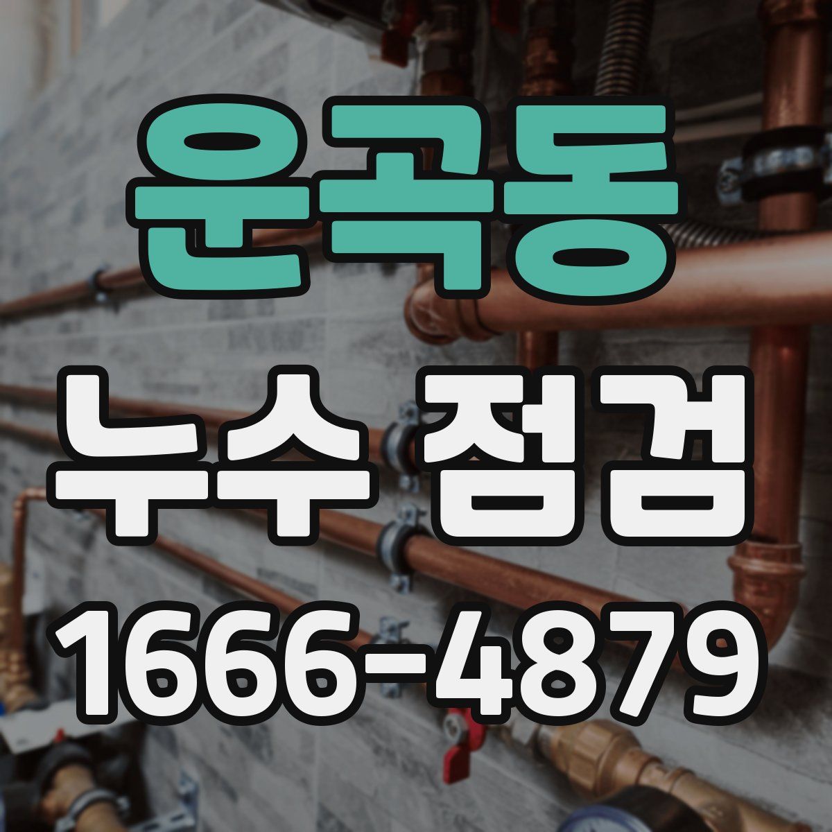 운곡동 누수 점검