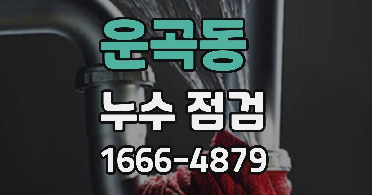 운곡동 누수 점검