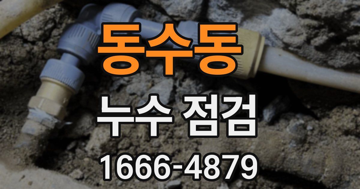 동수동 누수 점검