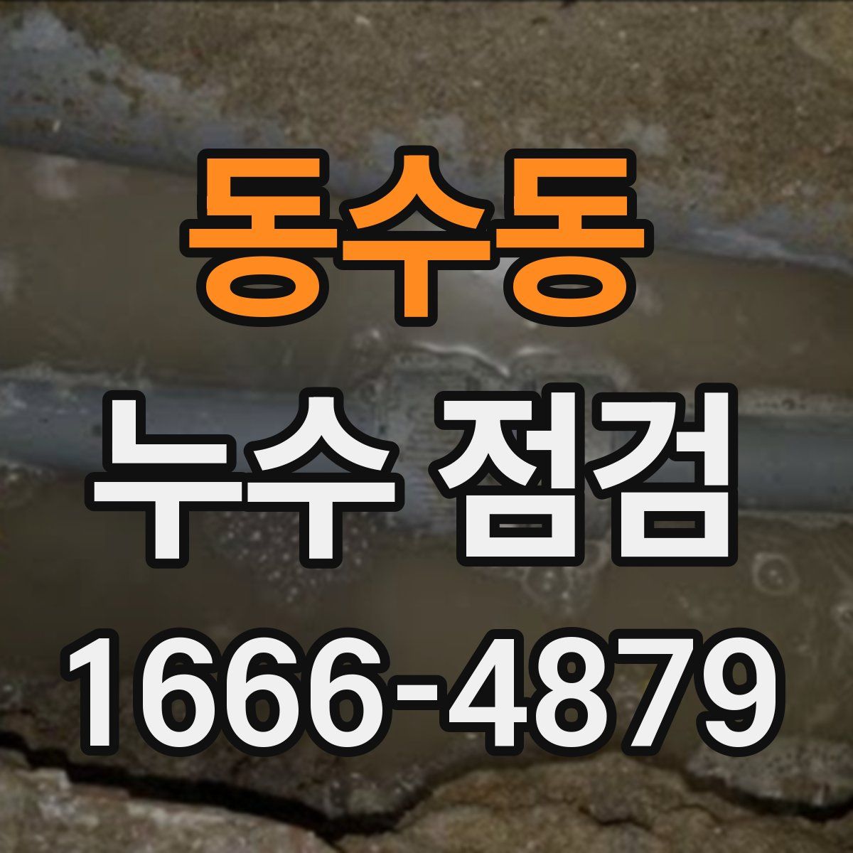 동수동 누수 점검