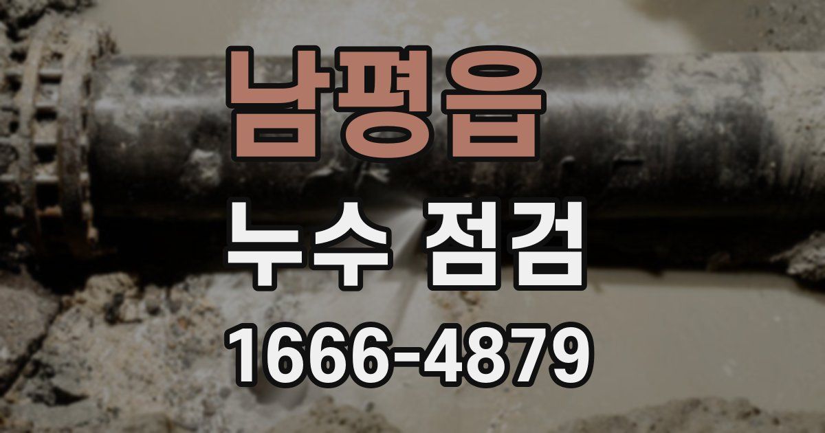 남평읍 누수 점검