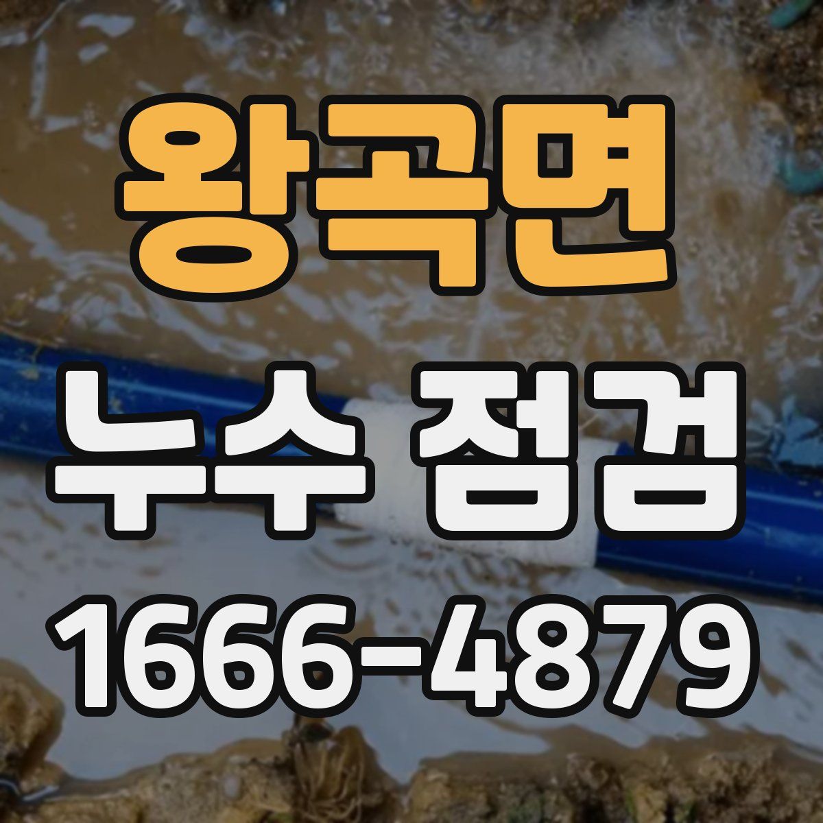 왕곡면 누수 점검