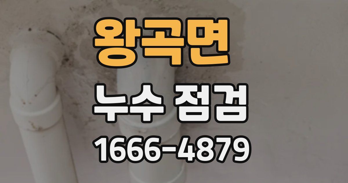 왕곡면 누수 점검