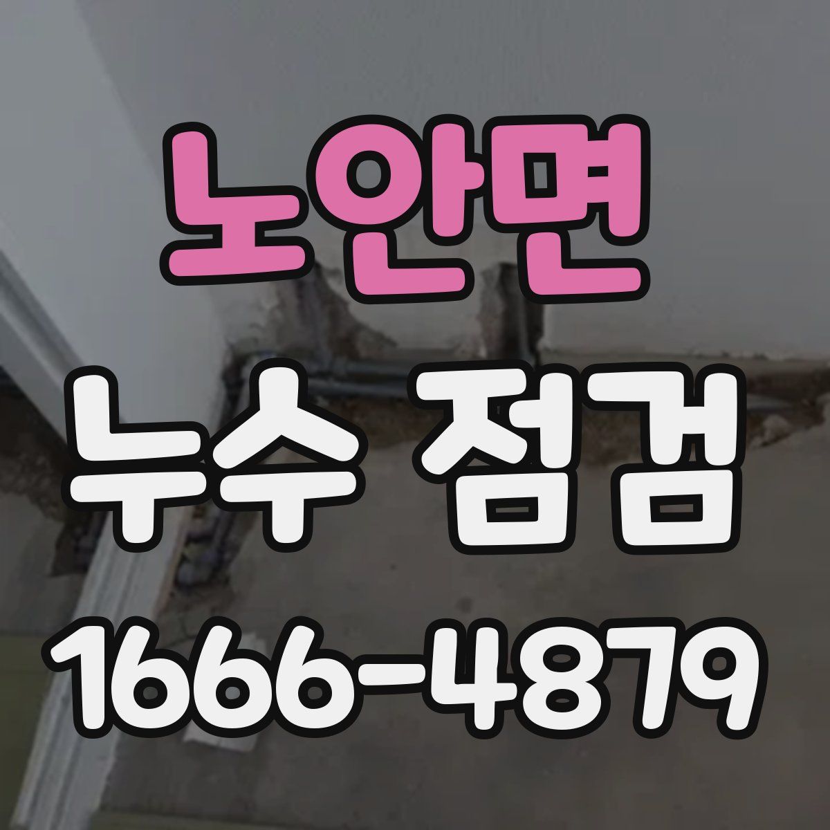노안면 누수 점검