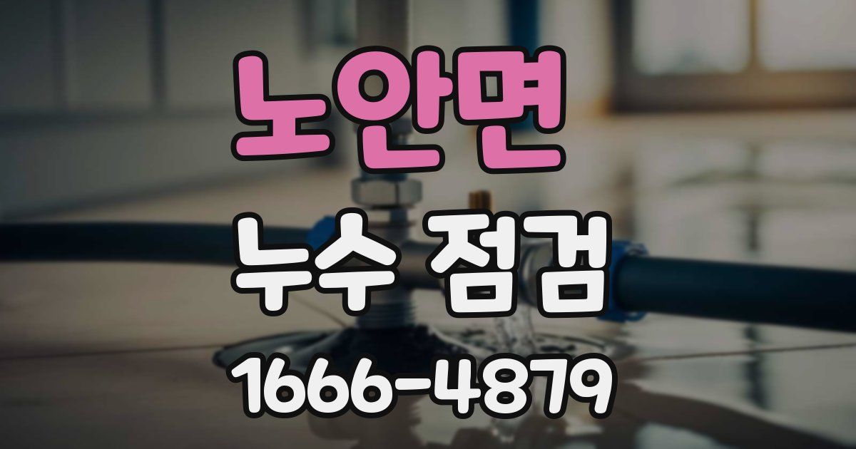 노안면 누수 점검