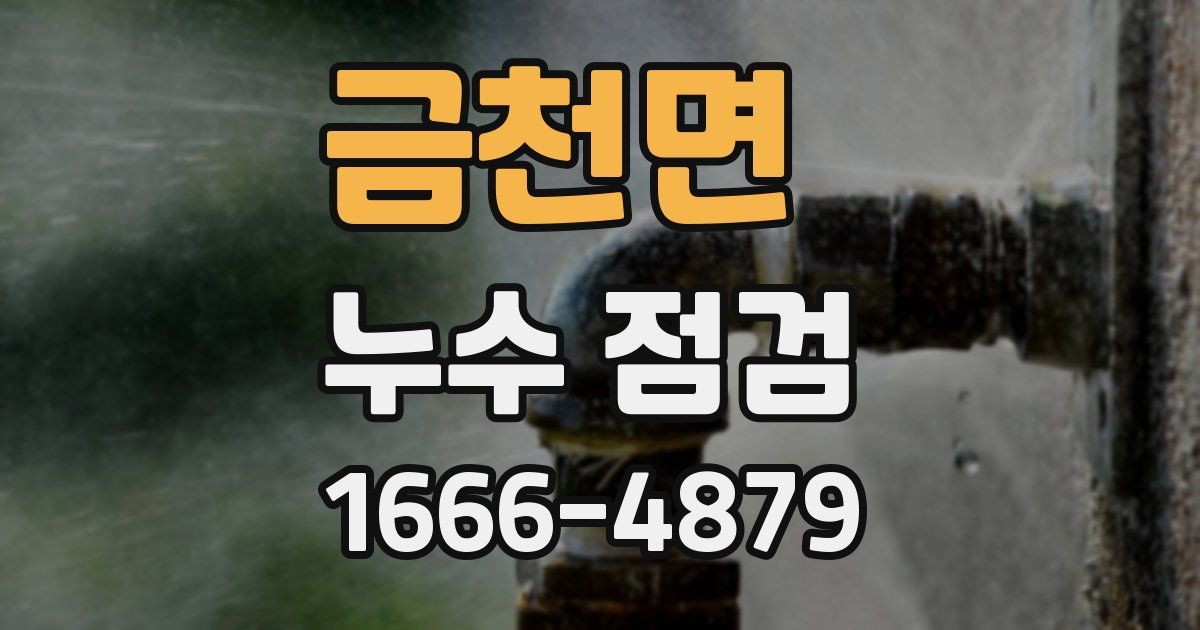 금천면 누수 점검