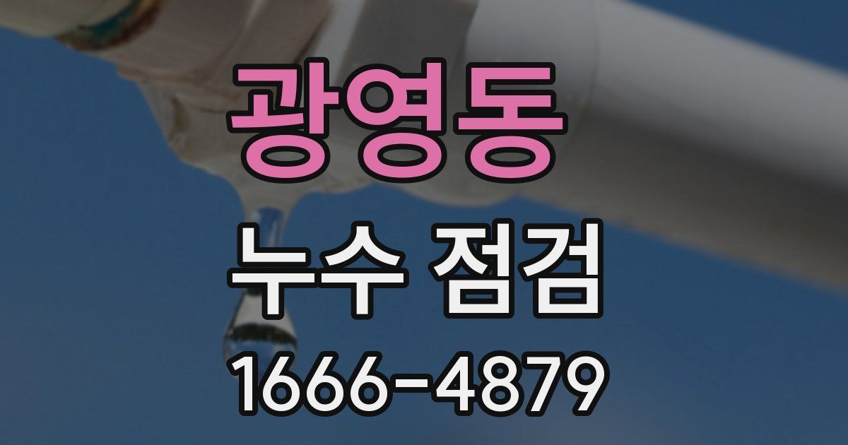 광영동 누수 점검