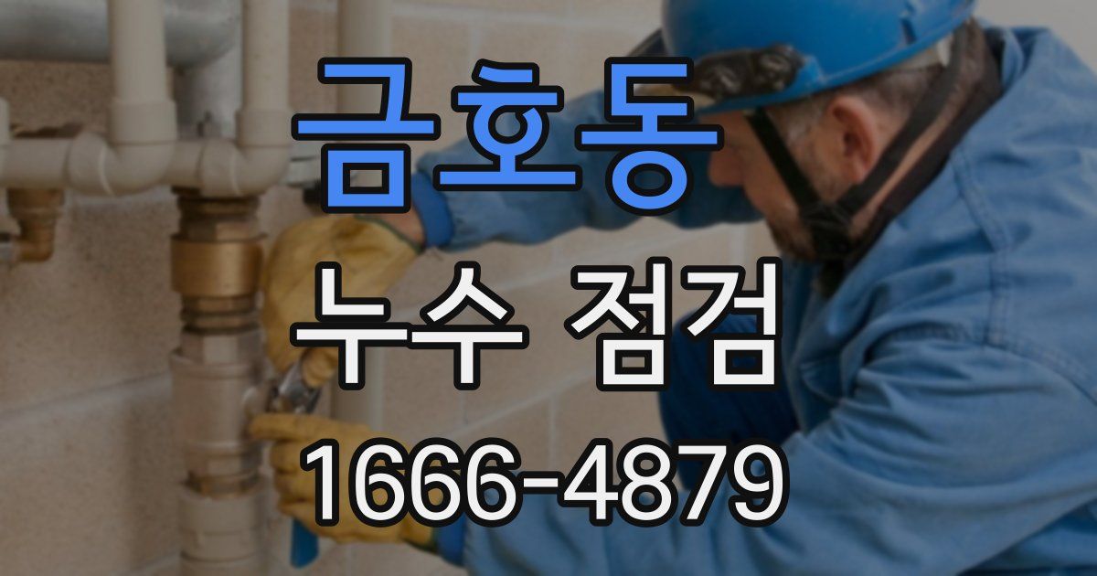 금호동 누수 점검