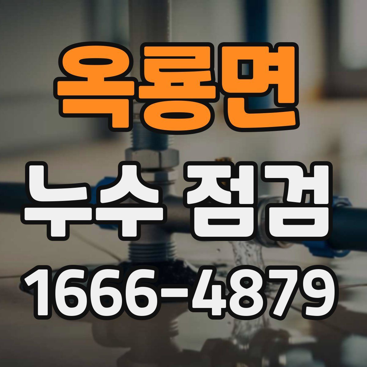 옥룡면 누수 점검