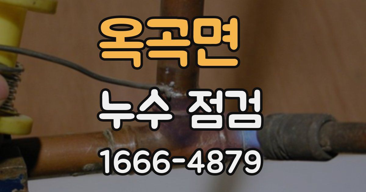 옥곡면 누수 점검