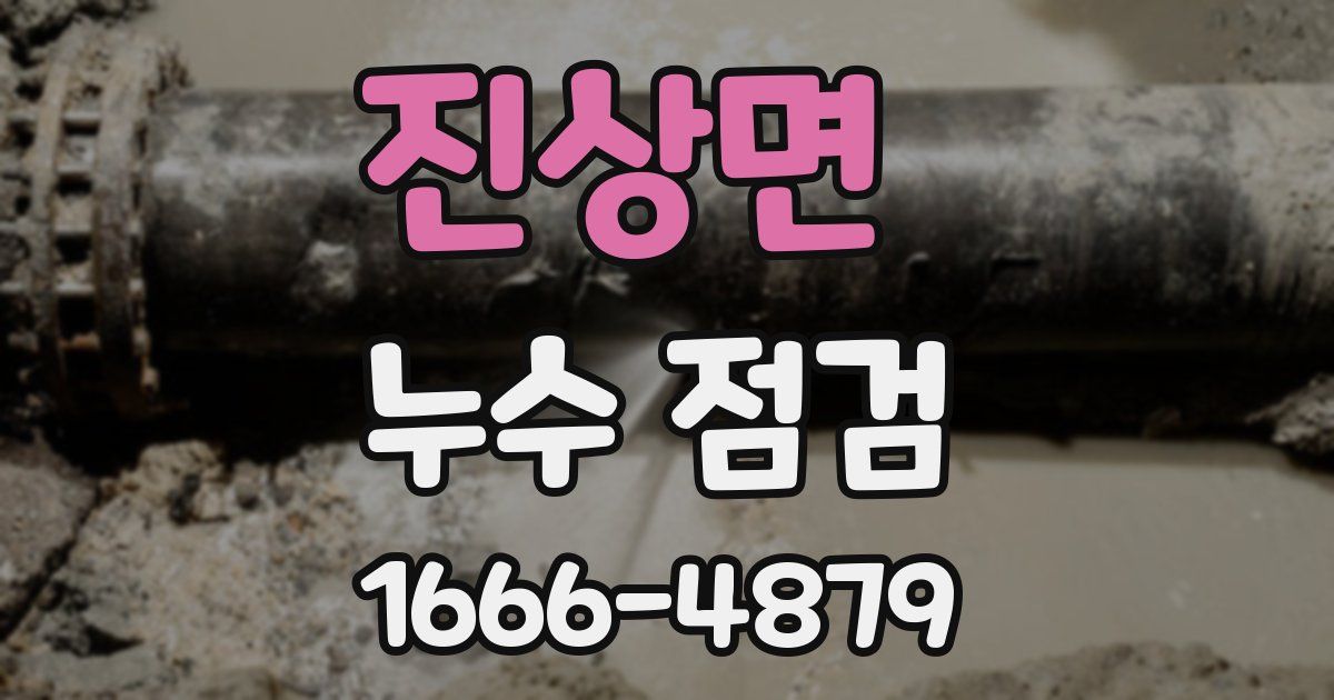 진상면 누수 점검