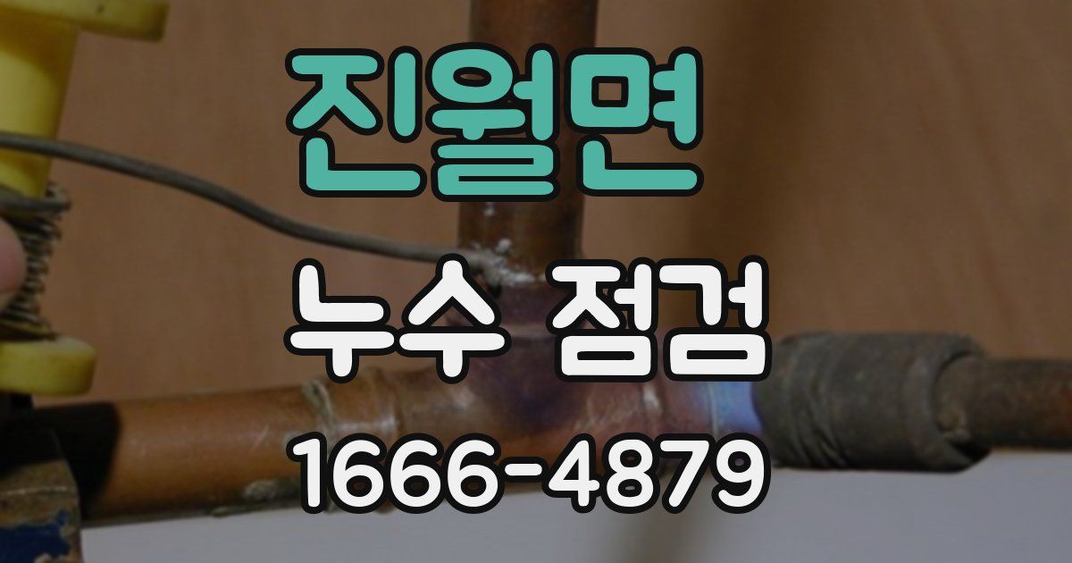 진월면 누수 점검