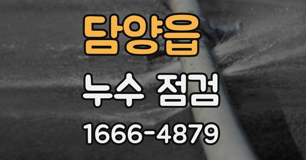 담양읍 누수 점검