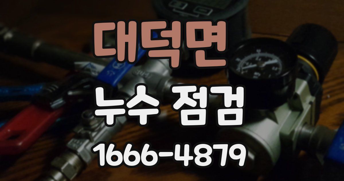 대덕면 누수 점검