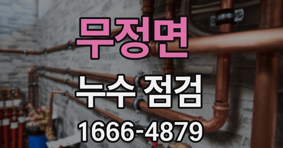 무정면 누수 점검
