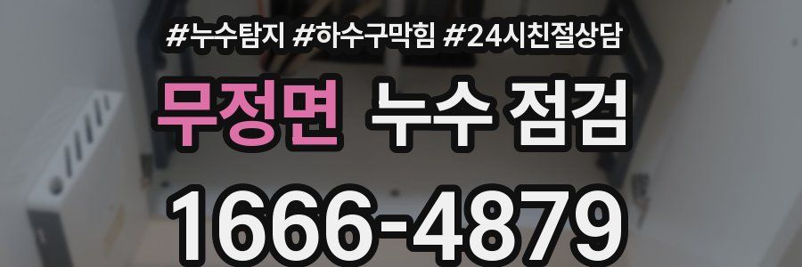 무정면 누수 점검
