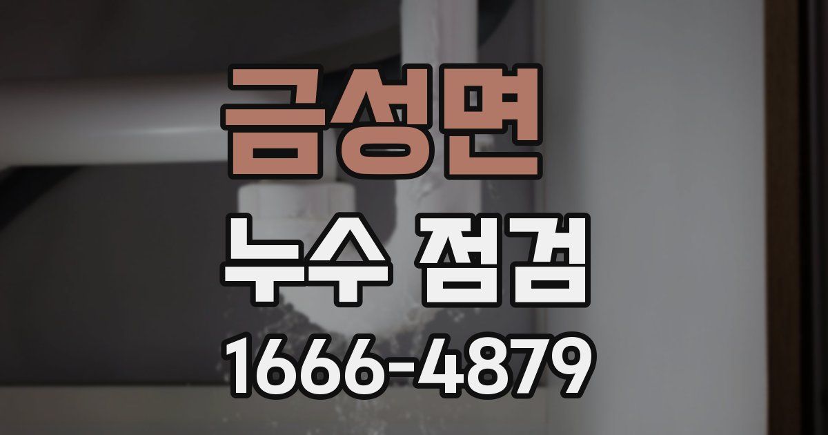 금성면 누수 점검