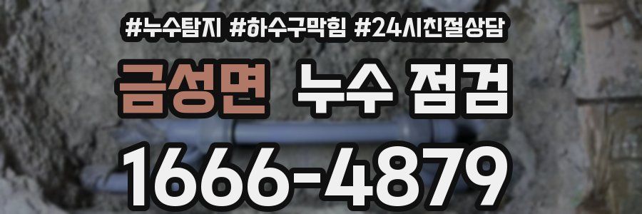 금성면 누수 점검