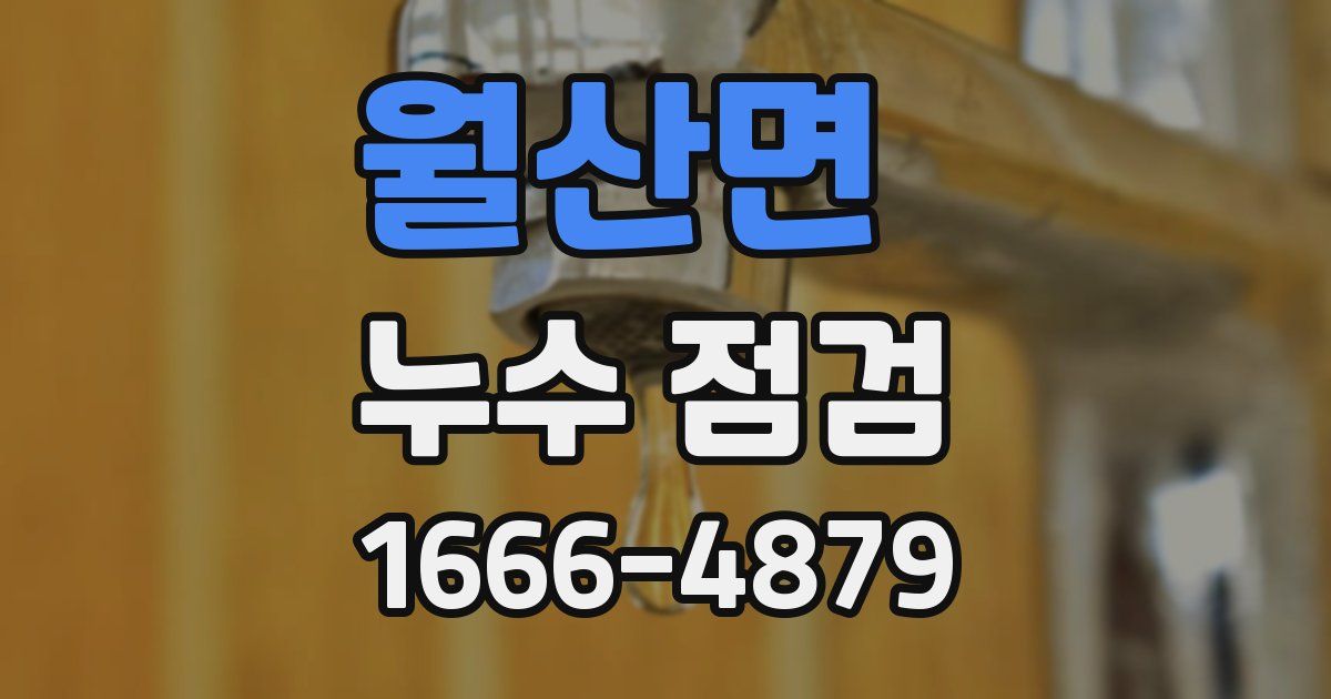 월산면 누수 점검