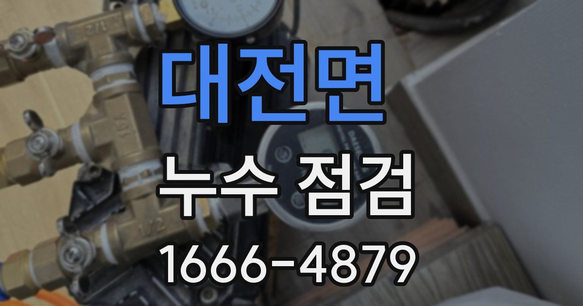 대전면 누수 점검