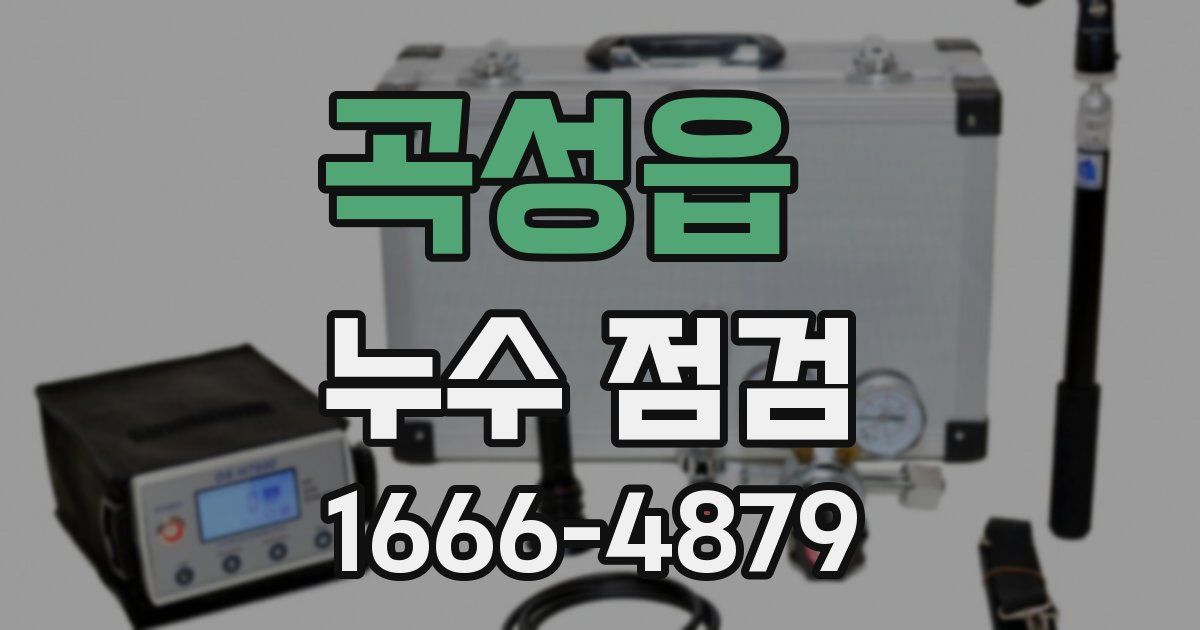 곡성읍 누수 점검