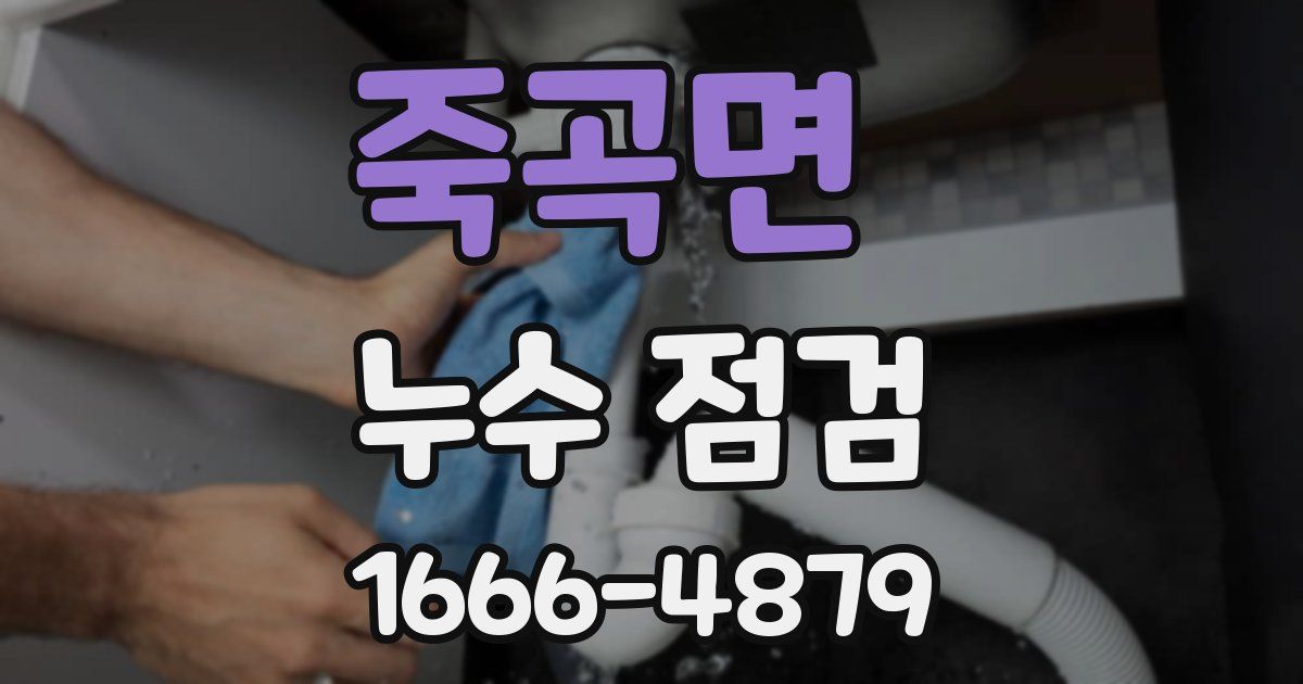 죽곡면 누수 점검