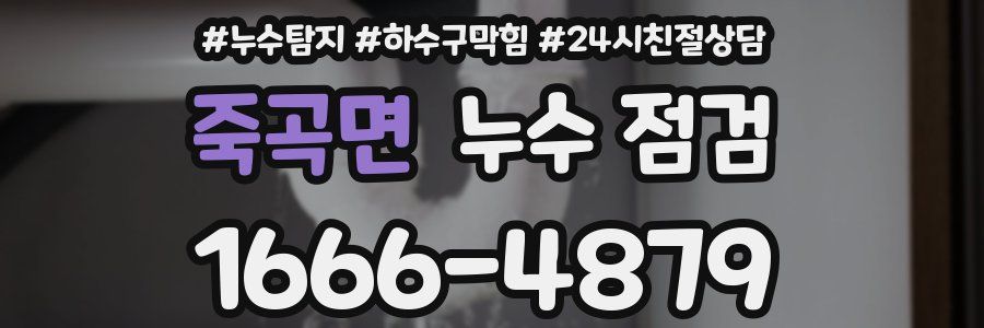 죽곡면 누수 점검