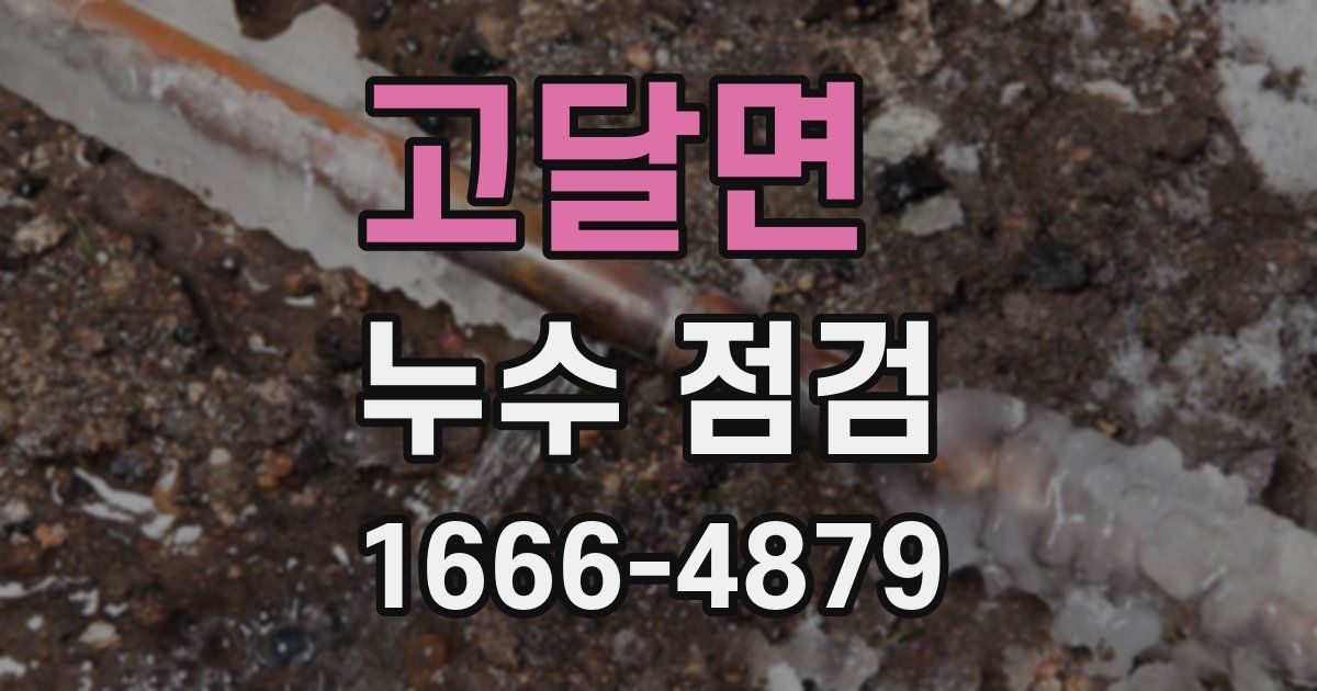 고달면 누수 점검