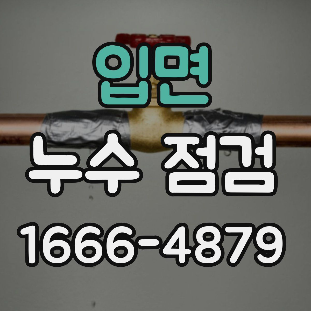 입면 누수 점검