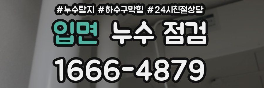 입면 누수 점검