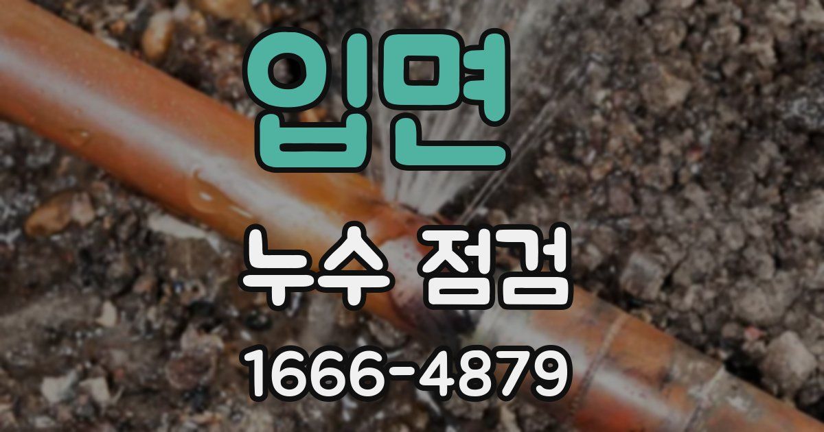 입면 누수 점검