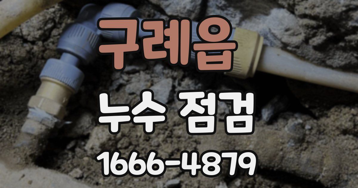 구례읍 누수 점검