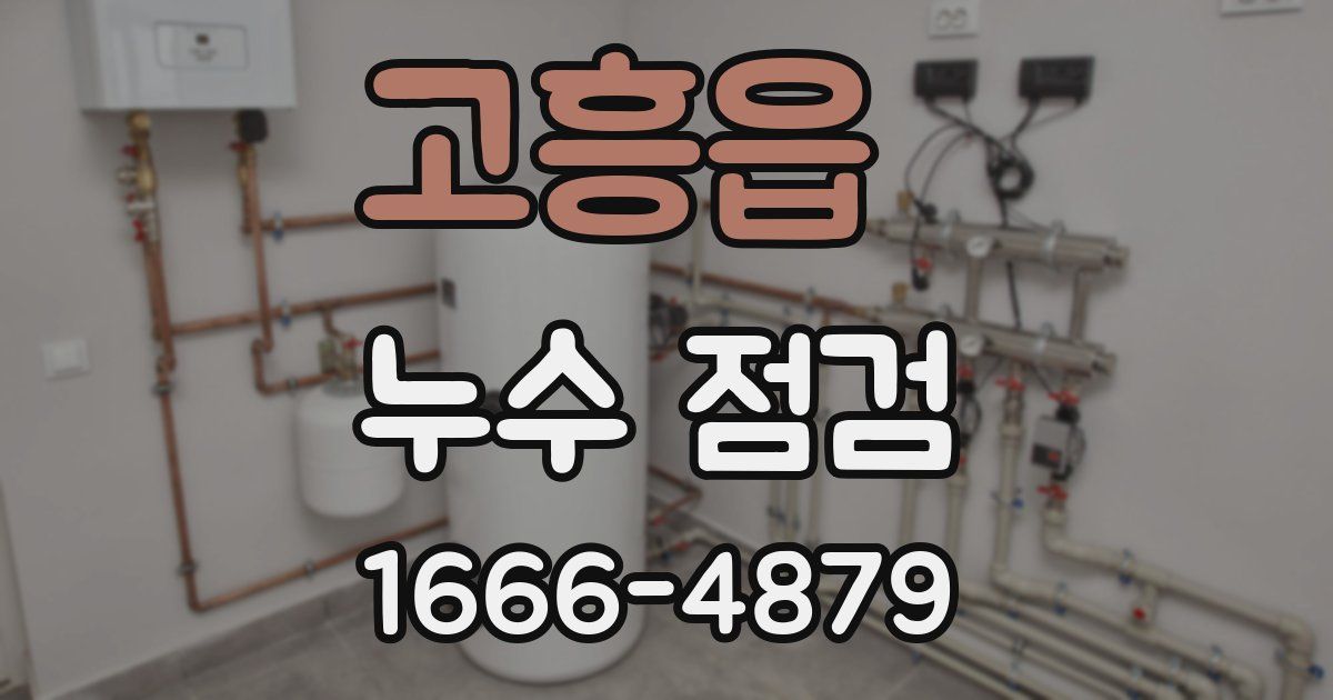 고흥읍 누수 점검
