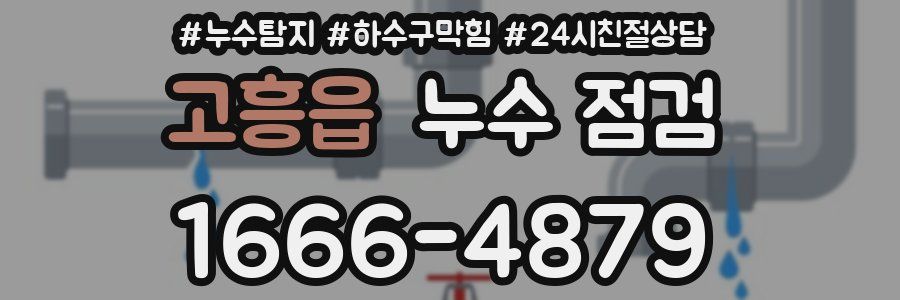 고흥읍 누수 점검