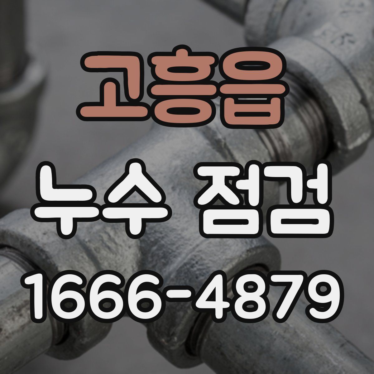 고흥읍 누수 점검
