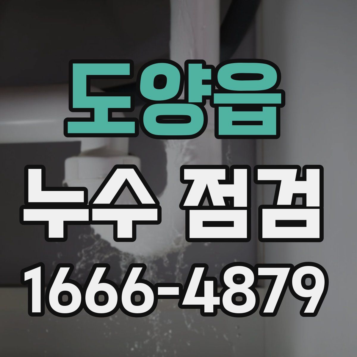 도양읍 누수 점검