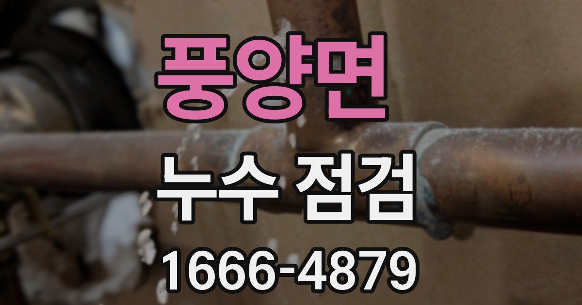 풍양면 누수 점검