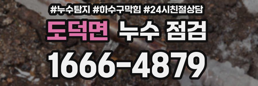 도덕면 누수 점검