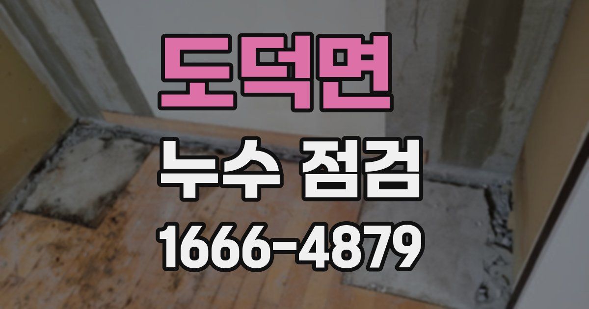 도덕면 누수 점검