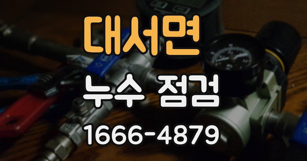 대서면 누수 점검