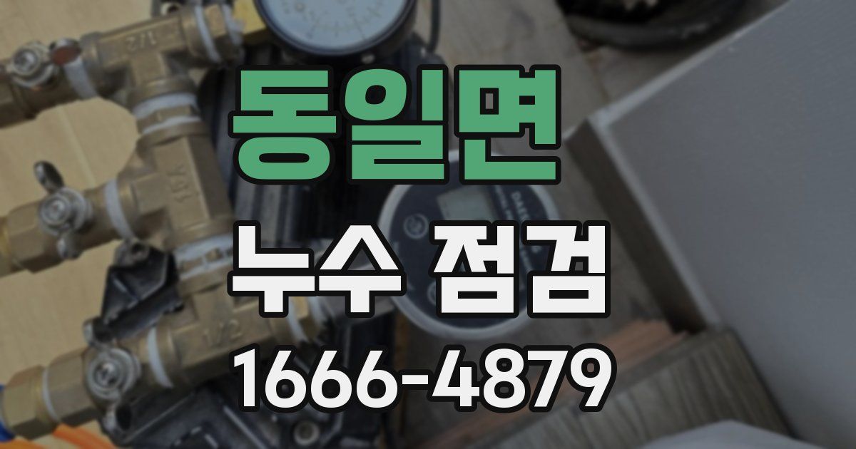 동일면 누수 점검