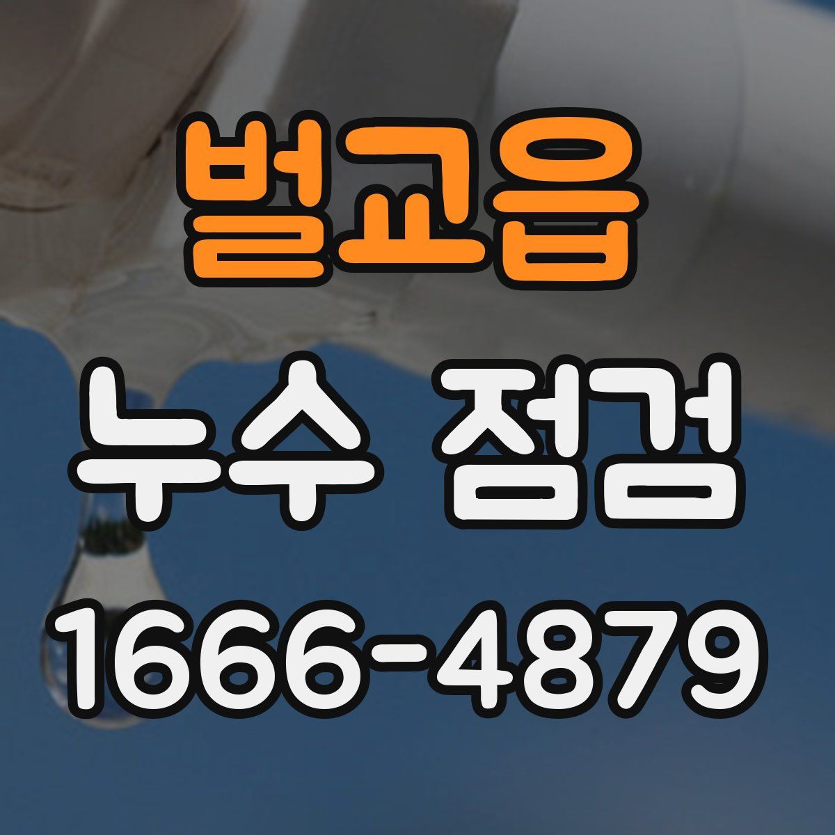 벌교읍 누수 점검