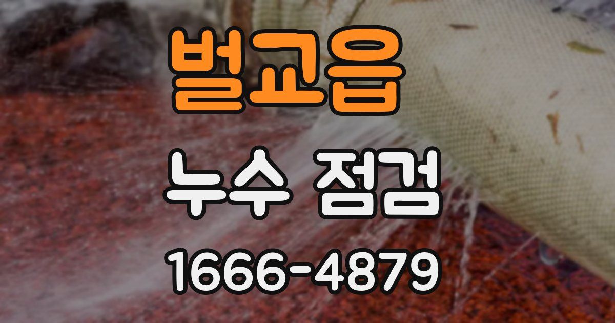 벌교읍 누수 점검