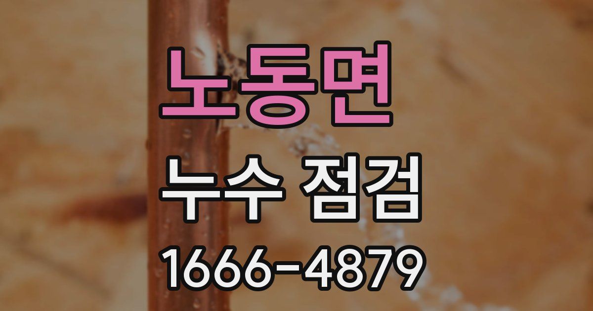 노동면 누수 점검